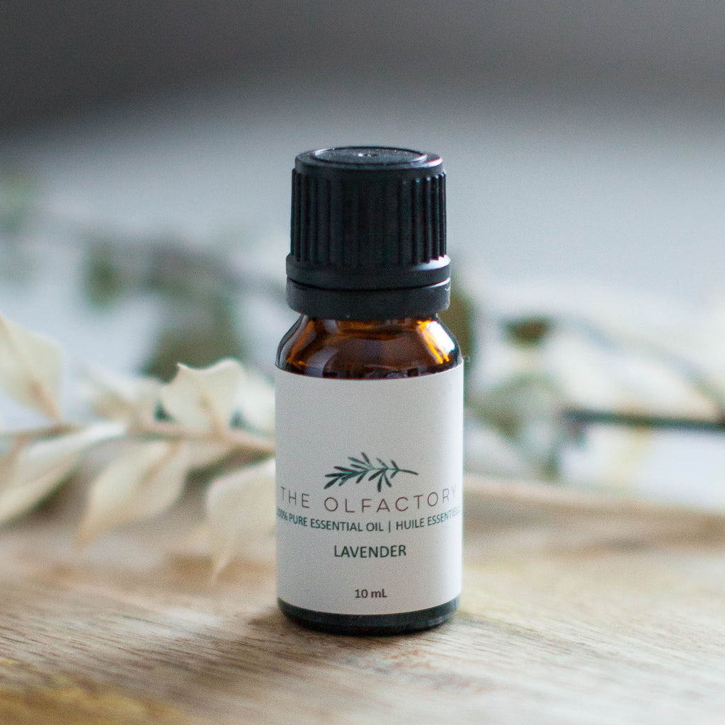 How to begin detoxing your home and life