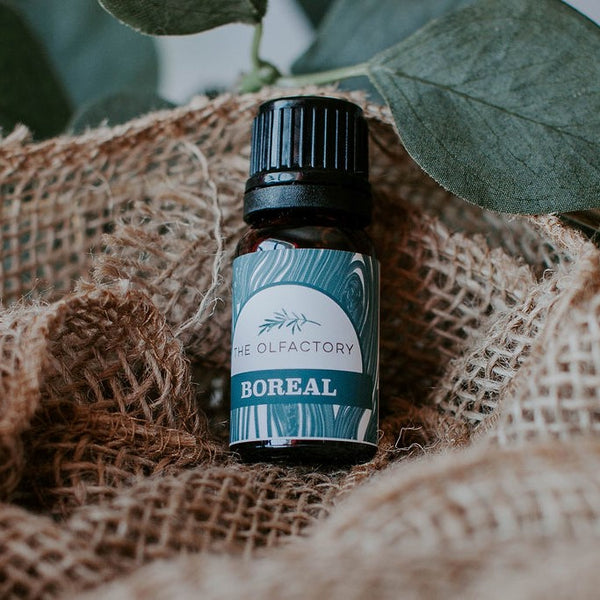 Boreal essential oil blend is inspired by time in the forest. bring the forest inside with this blend of grapefruit, eucalyptus, vanilla and Canadian Balsam Fir essential oils