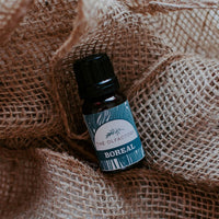 Boreal blend essential oil. All natural fragrance for the home