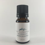 Organic Eucalyptus - The Olfactory Shop