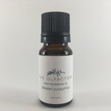 Organic Eucalyptus - The Olfactory Shop