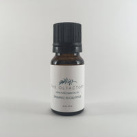 Organic Eucalyptus - The Olfactory Shop