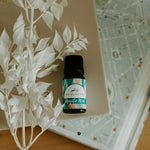 Beautiful Mojito Mint Essential Oil Blend. For your diffuser, natural fragrance for your car and bedroom and office. 